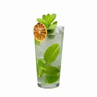 Virgin Mojito